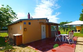 House Mario 1931